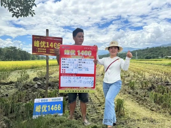 湖南興隆種業(yè)有限公司,長(zhǎng)沙稻谷種植與銷售,長(zhǎng)沙農(nóng)作物品種的選育,長(zhǎng)沙農(nóng)業(yè)病蟲害防治服務(wù) 湖南興隆種業(yè)有限公司,長(zhǎng)沙稻谷種植與銷售,長(zhǎng)沙農(nóng)作物品種的選育,長(zhǎng)沙農(nóng)業(yè)病蟲害防治服務(wù)
