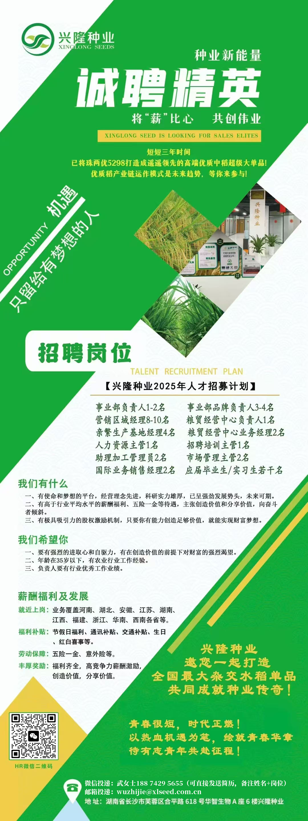 湖南興隆種業(yè)有限公司,長沙稻谷種植與銷售,長沙農作物品種的選育,長沙農業(yè)病蟲害防治服務